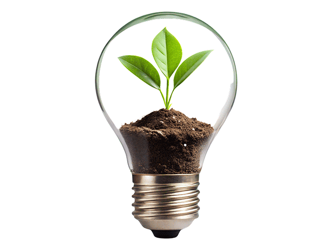 Sfoglia il bilancio di sostenibilità